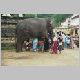 010 Temple_of_the_tooth2.JPG